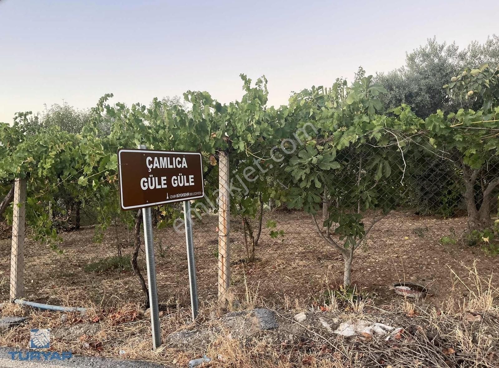 Torbalı Çamlıca Mah 495 M2 Avlulu Kargir Ev Ve Arsası - Görsel 2