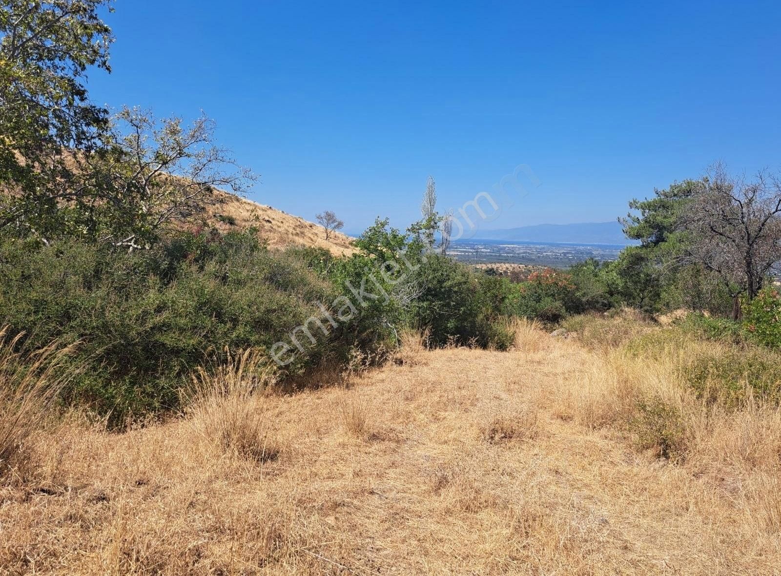 Balikesir Burhanıye Dutluca Köyünde Satılık Hobı Bahcesi