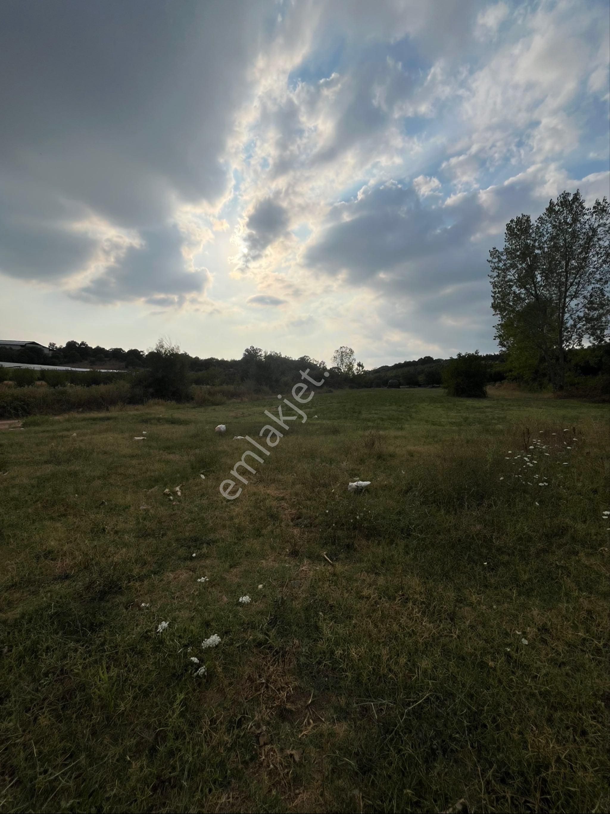 İpekyoluna Cephe 833 M² Yatırımlık Hisse - Görsel 4