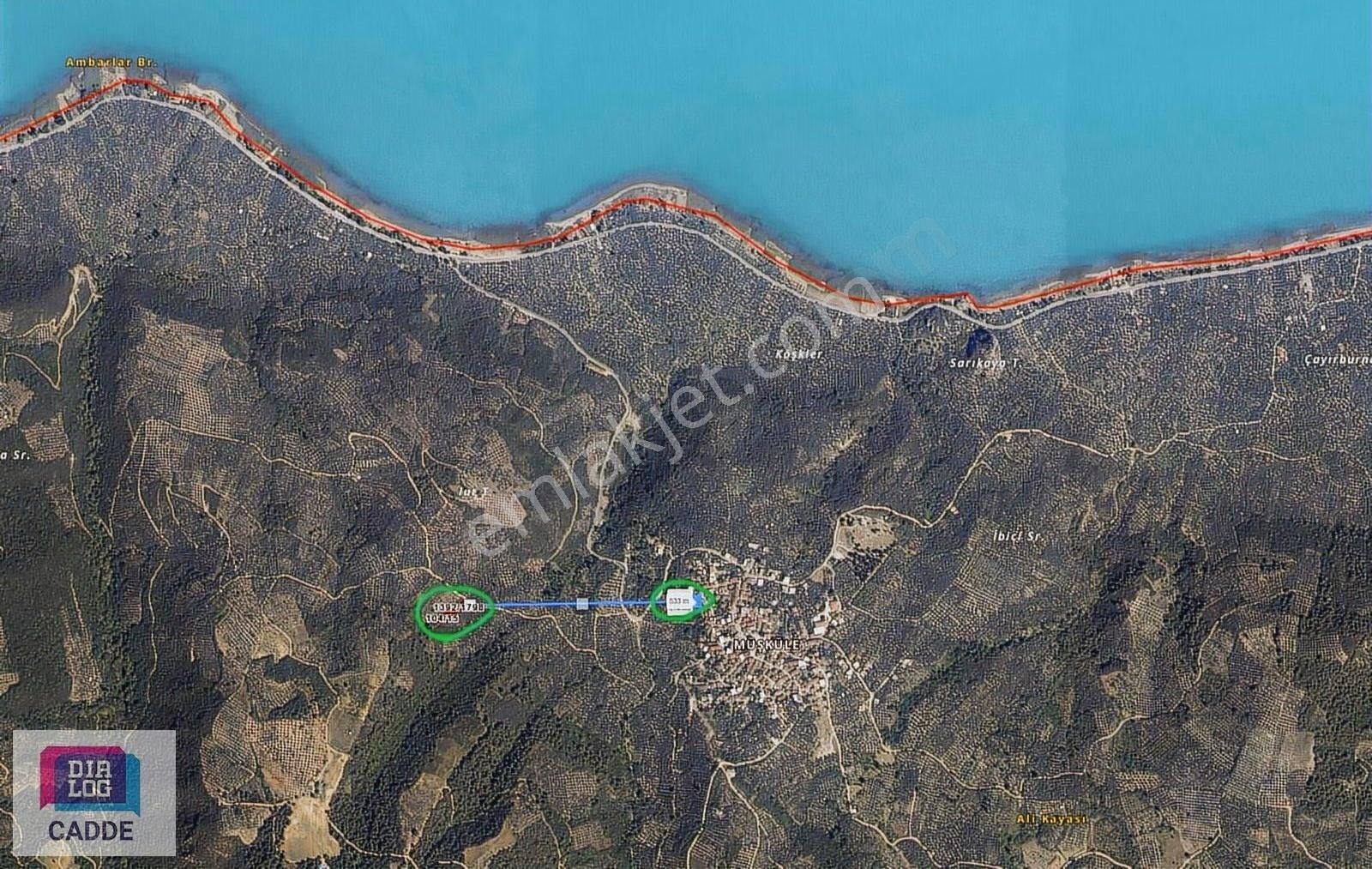 875 M² Verimli Zeytinlik | 1.5 Ton Ürüm Veren 2 Tapulu Arsa - Görsel 7