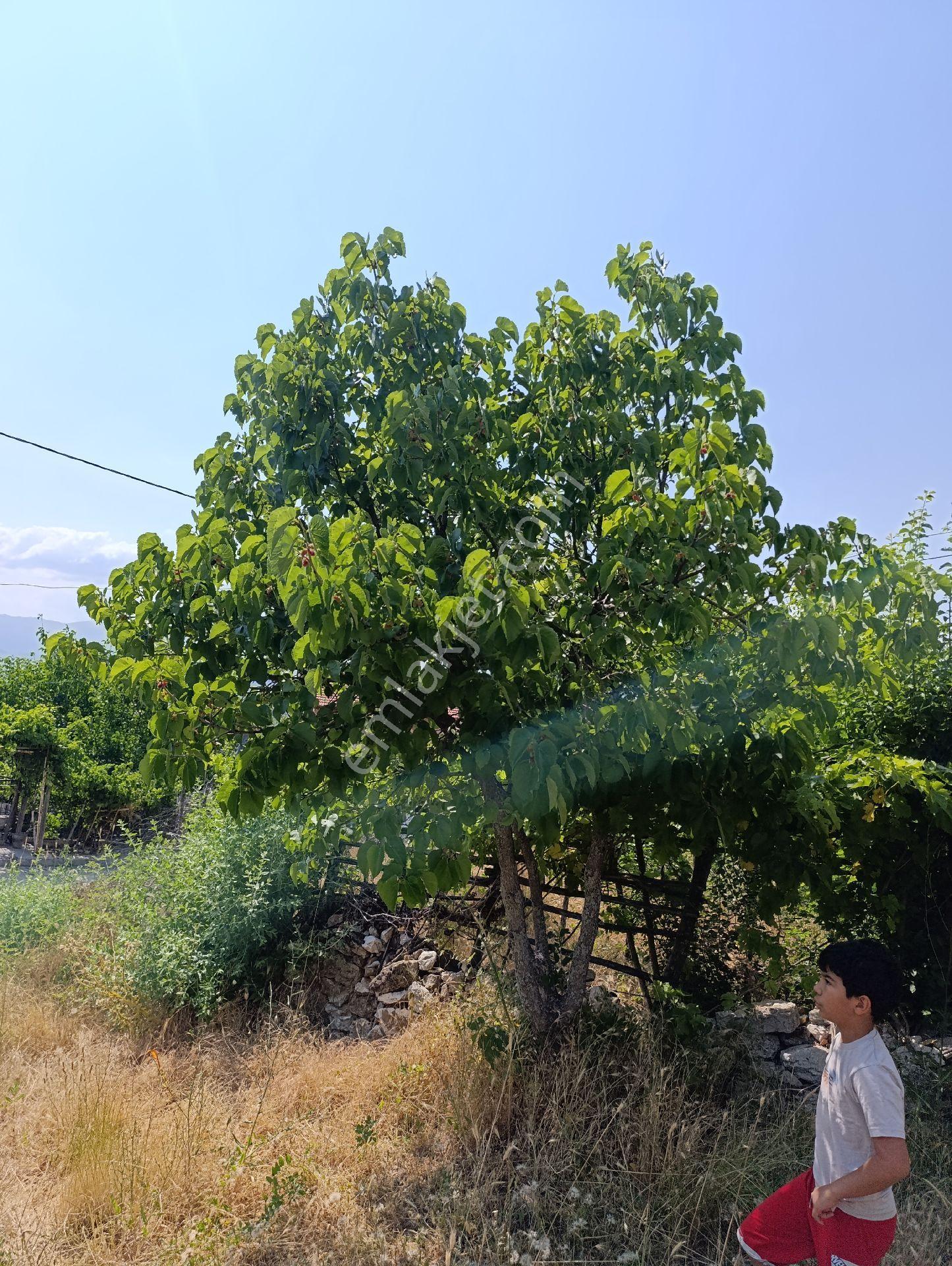 Beyşehir Kayabaşı Satılık Müstakil Ev - Görsel 27