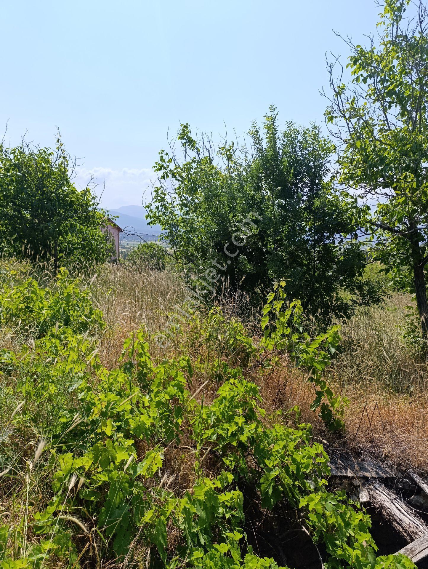 Beyşehir Kayabaşı Satılık Müstakil Ev - Görsel 22