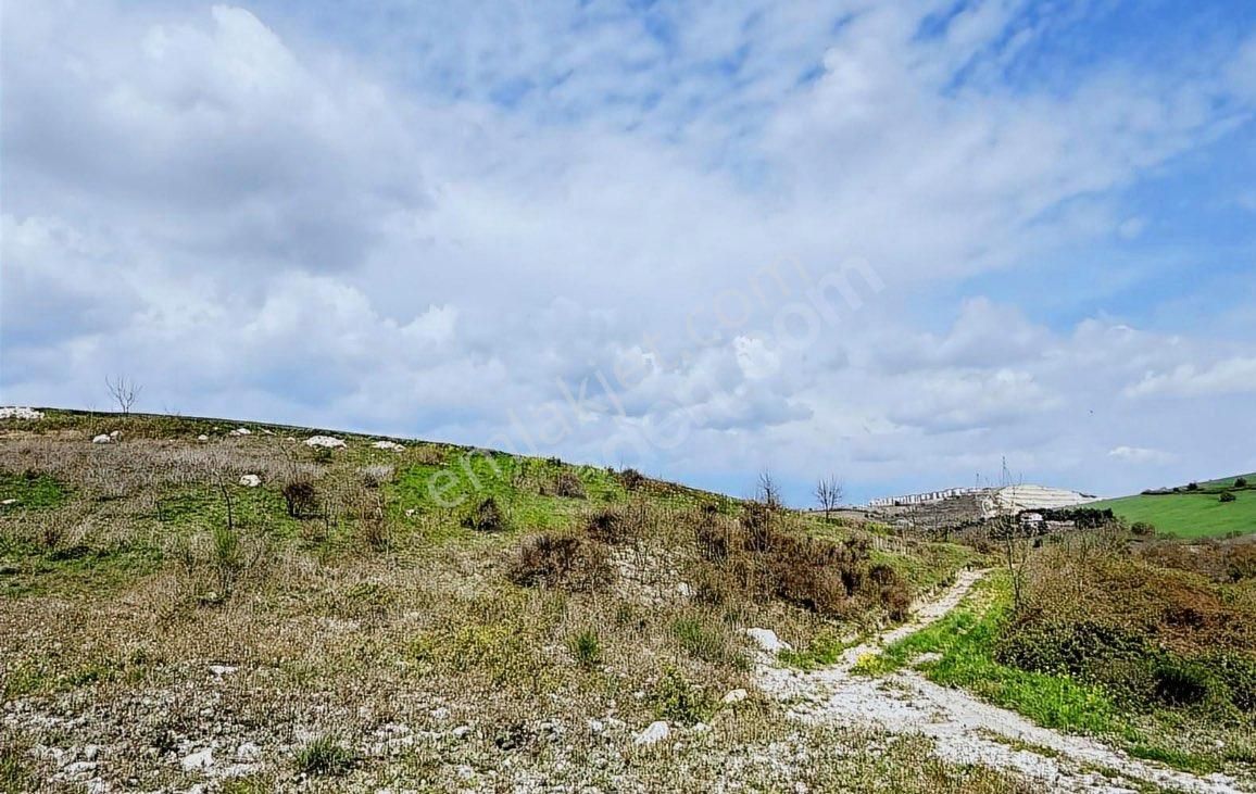 Sahibinden Direk Aracısız !! - Görsel 3