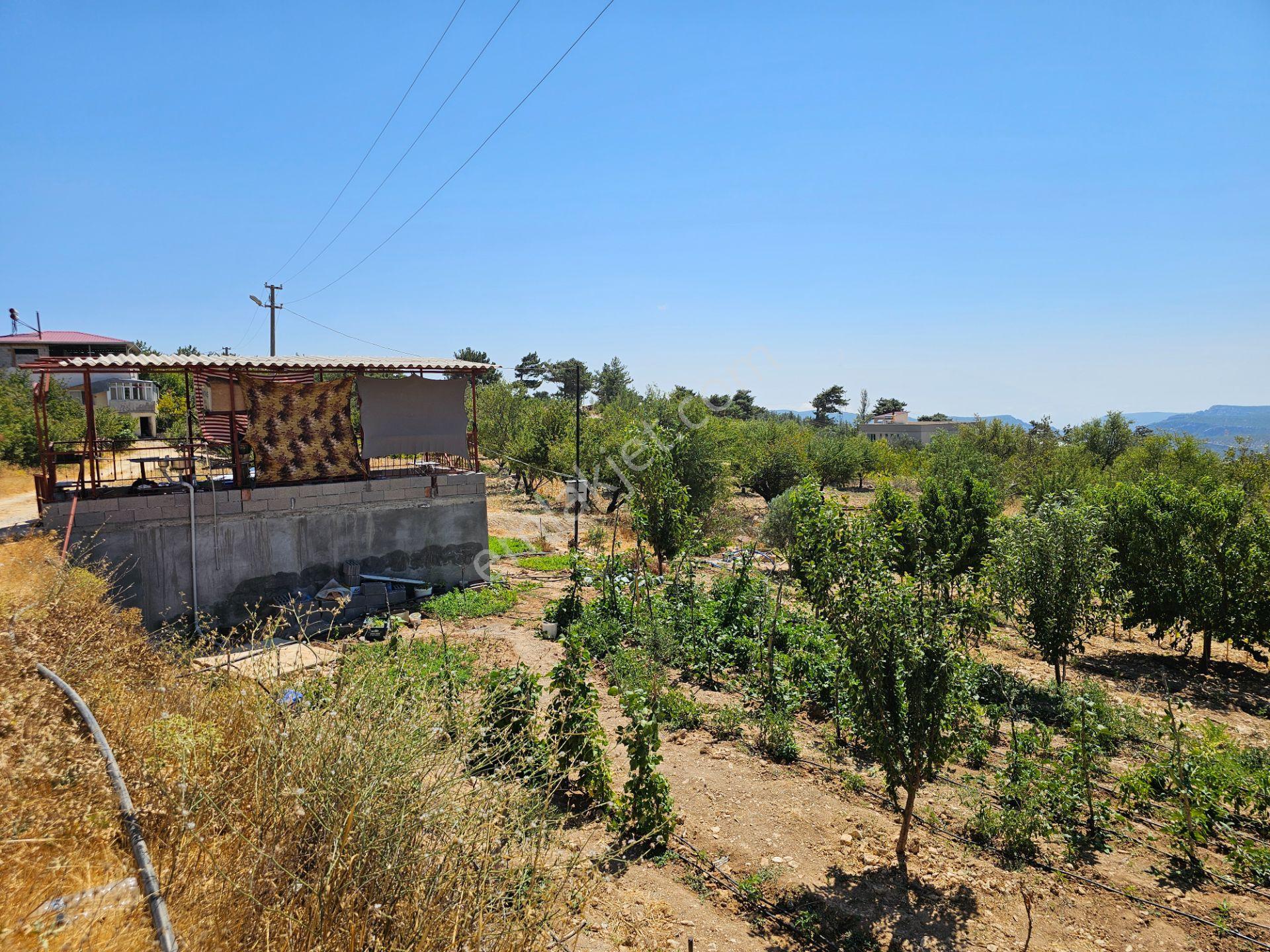 İmarlı, Antalya-gülnar Yolu Üzeri, Meyve Bahçeli Yatırımlık Arsa - Görsel 7