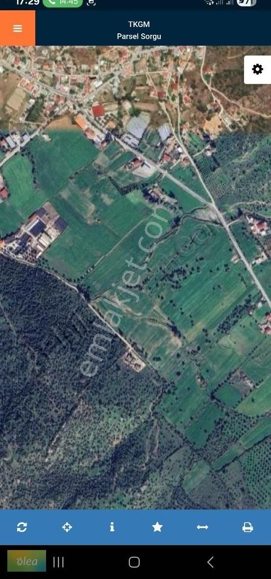 Dörttepede Satılık Tarla - Görsel 2