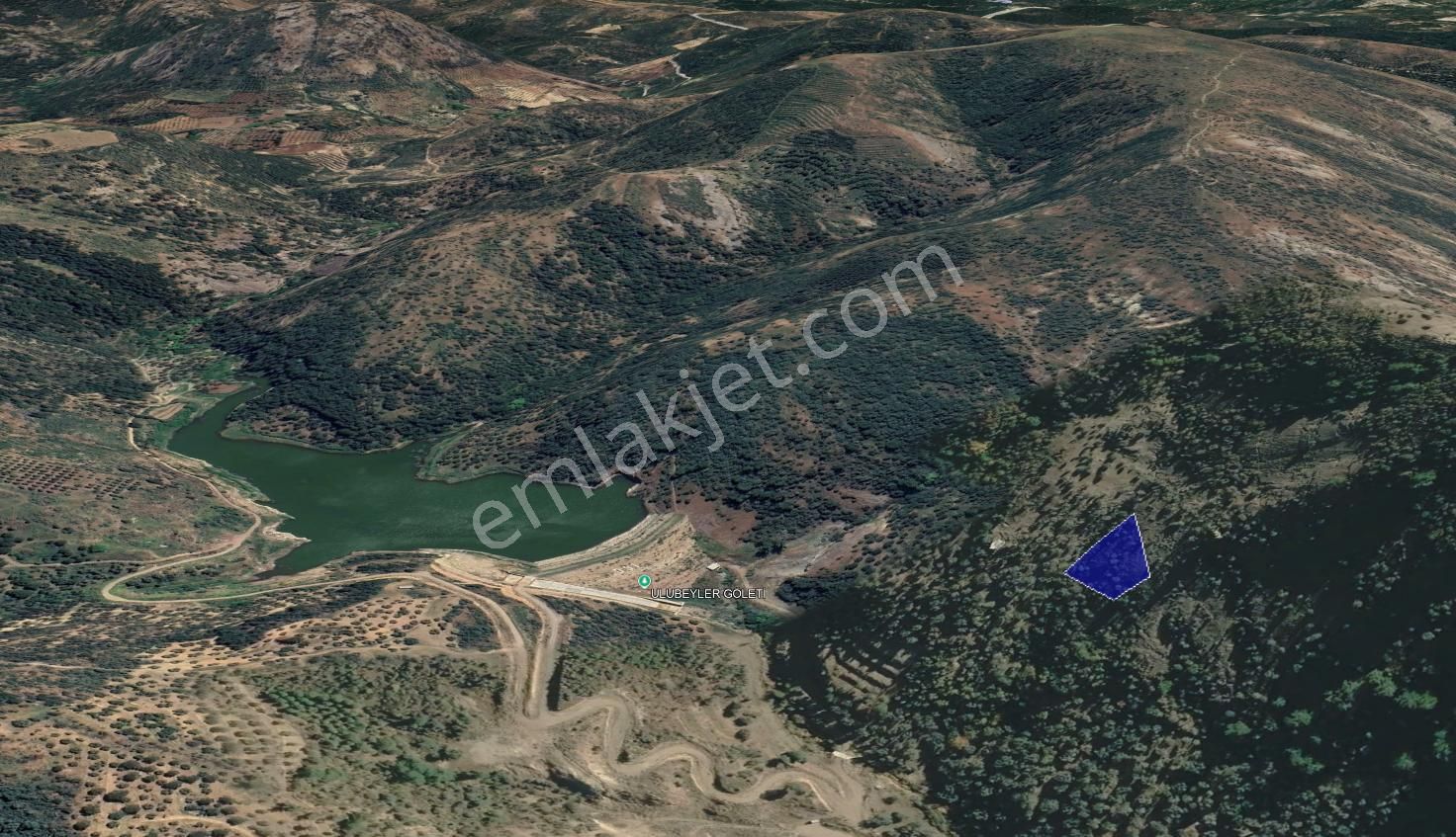 Cb King'den Balıkesir/gömeç Ulubeyler Mahallesi Satılık Zeytinlik - Görsel 3