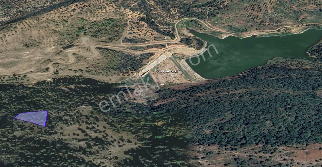Cb King'den Balıkesir/gömeç Ulubeyler Mahallesi Satılık Zeytinlik - Görsel 30