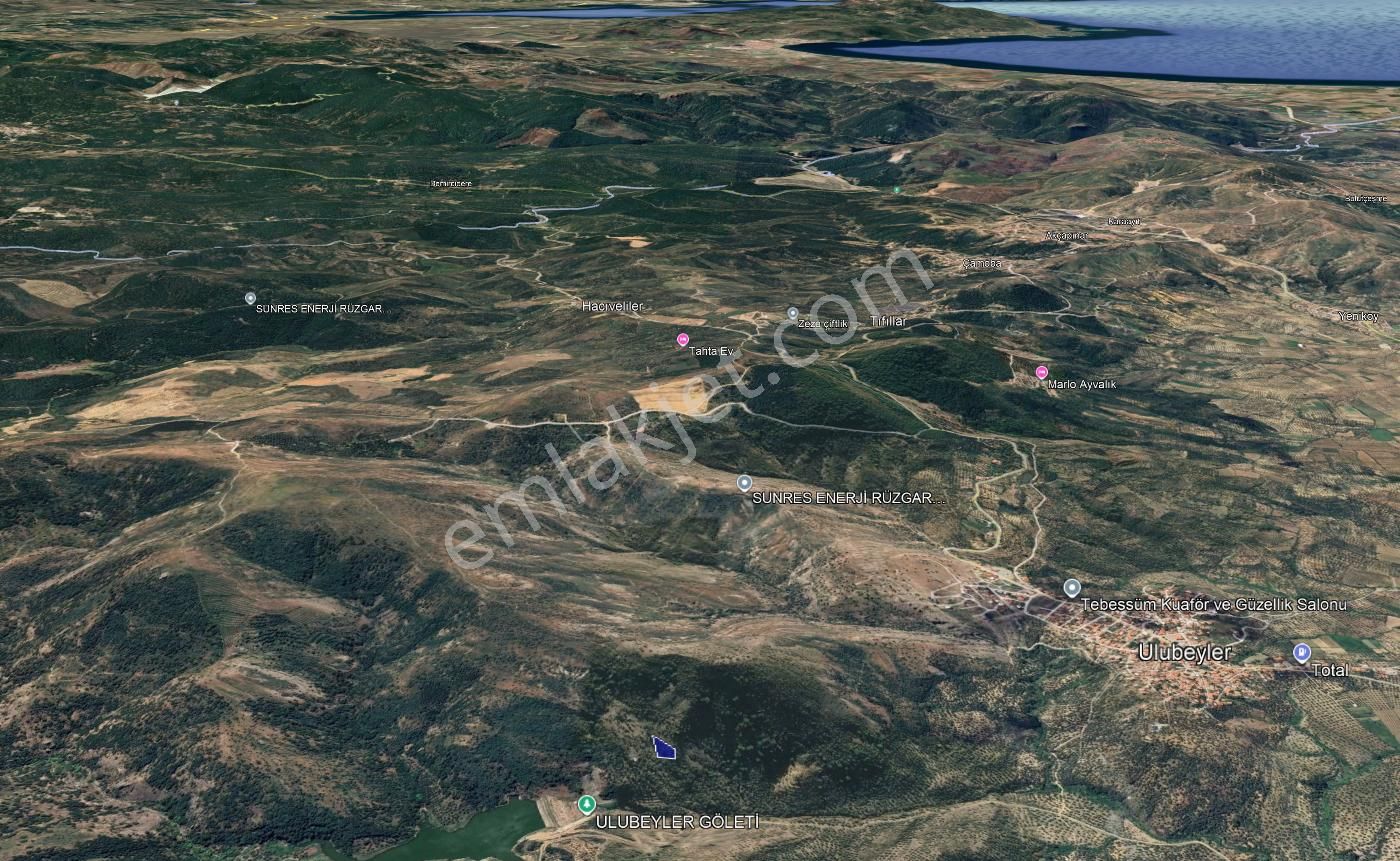 Cb King'den Balıkesir/gömeç Ulubeyler Mahallesi Satılık Zeytinlik - Görsel 18