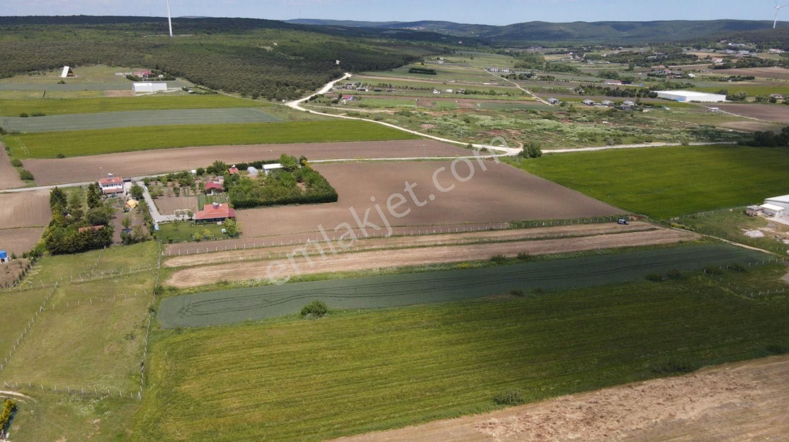 Golden Globy, İstanbul Çatalca'da Acil Satılık 3.213 M2 Müstakil Tapulu Tarla - Görsel 29