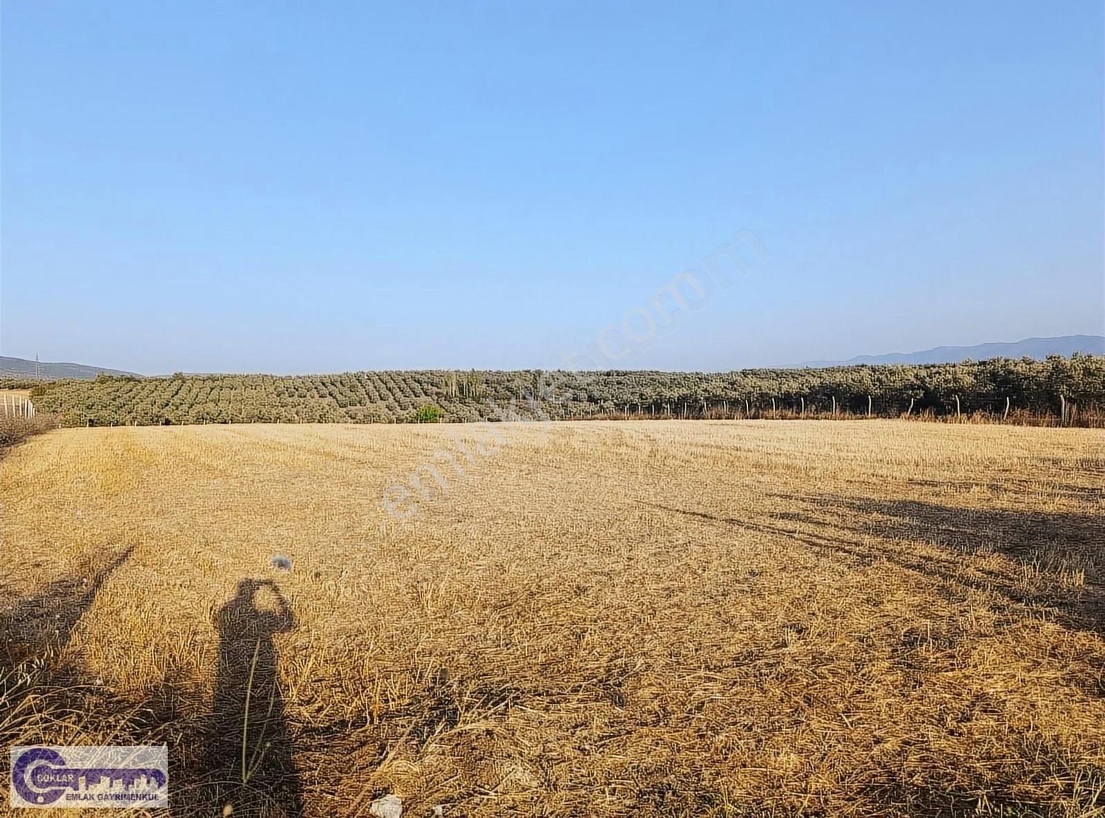 Çoklar 'dan Cihanköy'de Depo Ruhsatı Alınabilen 6040 M2