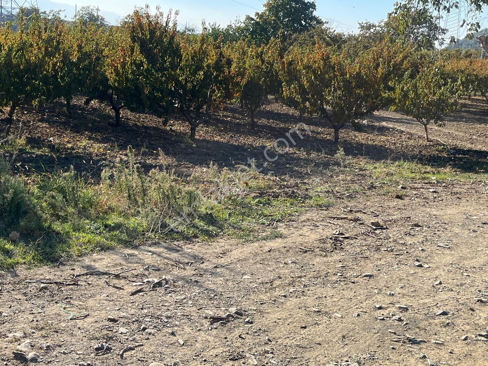 Nilvest'ten Bursa Kestel Narlıdere'de Güzel Bir Bahçe - Görsel 8