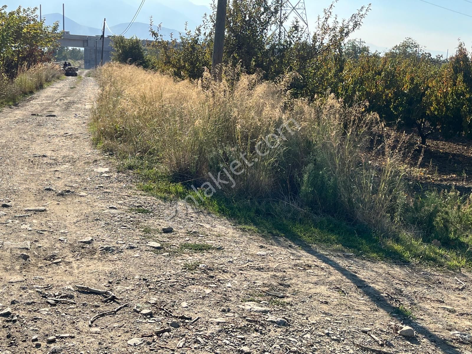 Nilvest'ten Bursa Kestel Narlıdere'de Güzel Bir Bahçe - Görsel 7