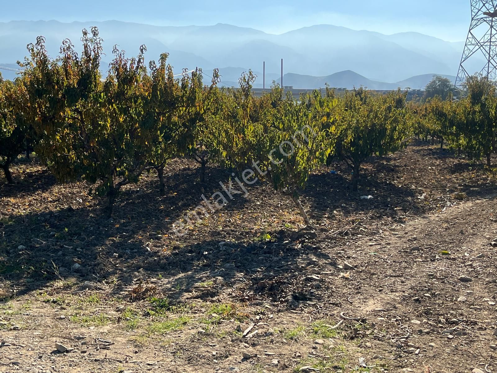Nilvest'ten Bursa Kestel Narlıdere'de Güzel Bir Bahçe - Görsel 12