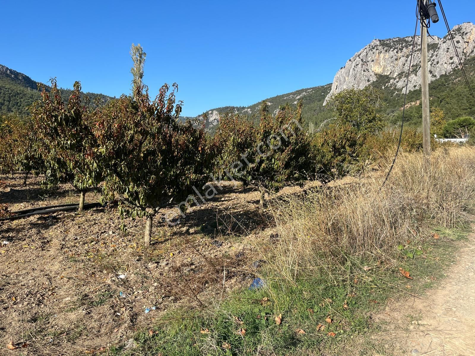 Nilvest'ten Bursa Kestel Narlıdere'de Güzel Bir Bahçe - Görsel 13