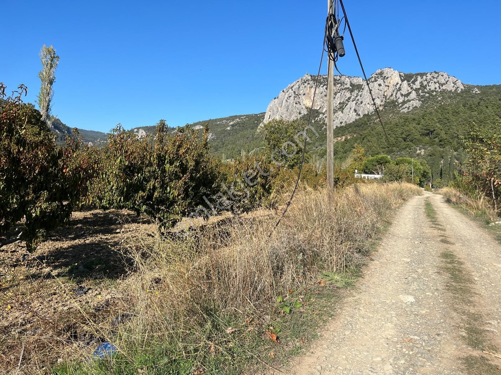 Nilvest'ten Bursa Kestel Narlıdere'de Güzel Bir Bahçe - Görsel 2