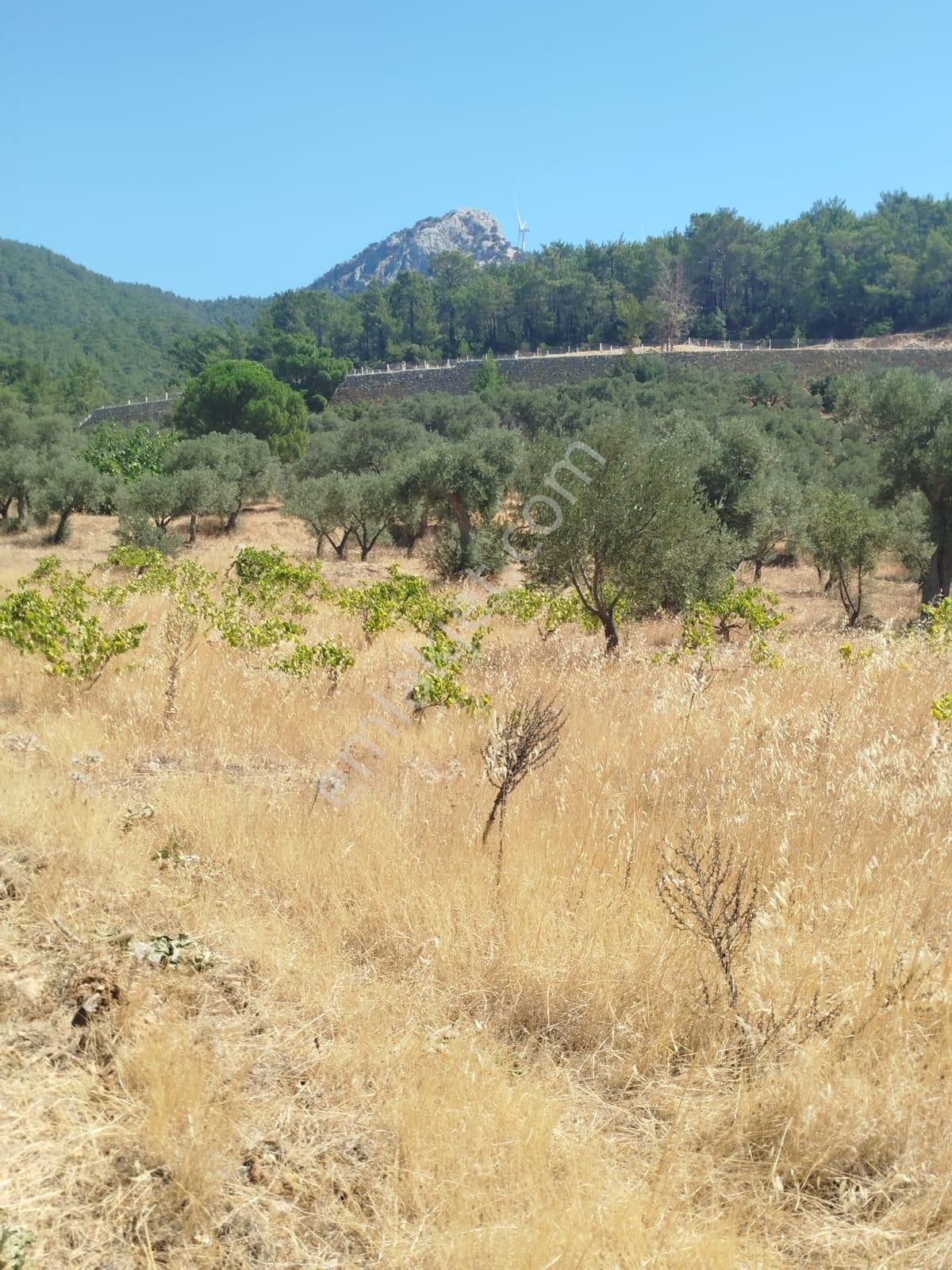 İlay Grouptan Torbalı Karakızlar Karaot Yolunda Satılık Tarla