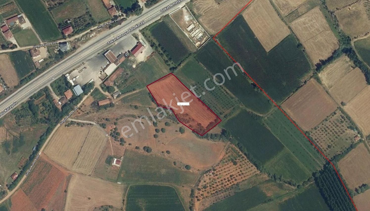 Söngüt'te Ana Yola Yakın 7 Dönüm Elektrik Su Sorunsuz Tek Tapulu - Görsel 3