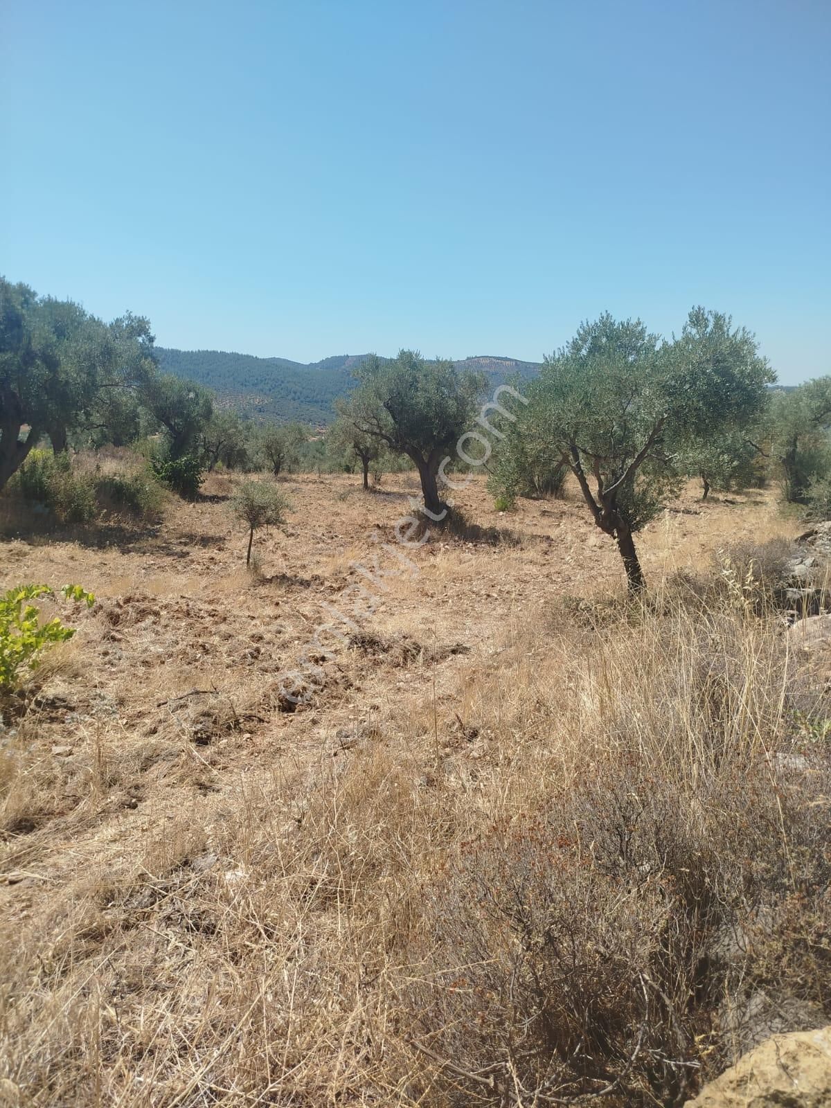 İlay Grouptan Torbalı Karakızlar Mahallesinde Satılık Tarla - Görsel 2