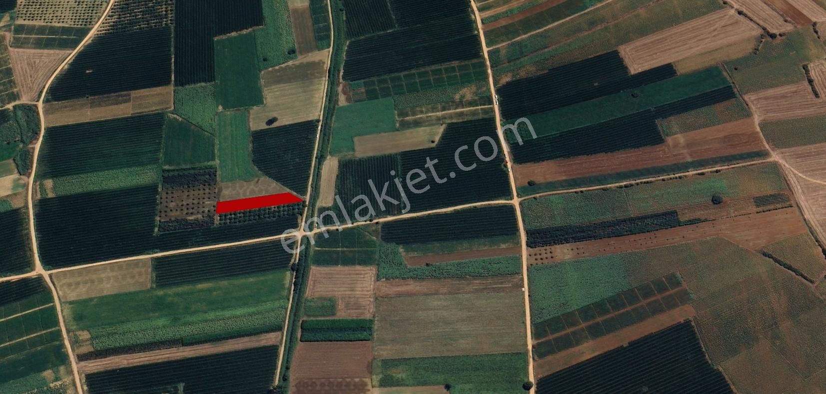 Roma' Dan Sungurpaşa' Da Satılık Tarla - Görsel 5
