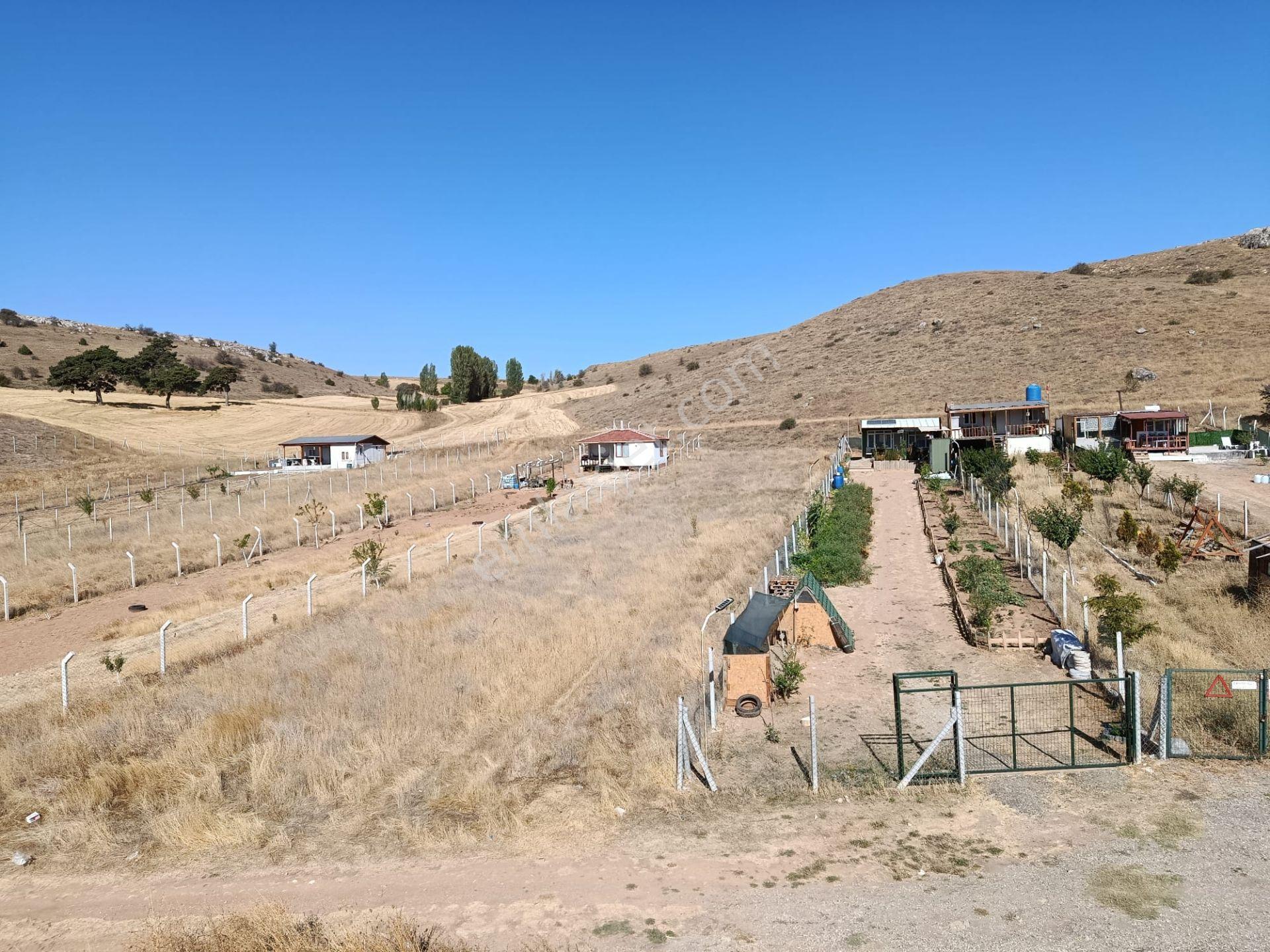 Century 21 Vizyon'dan Zemzemiye'de 1.408 M2 Satılık Bahçe - Görsel 6