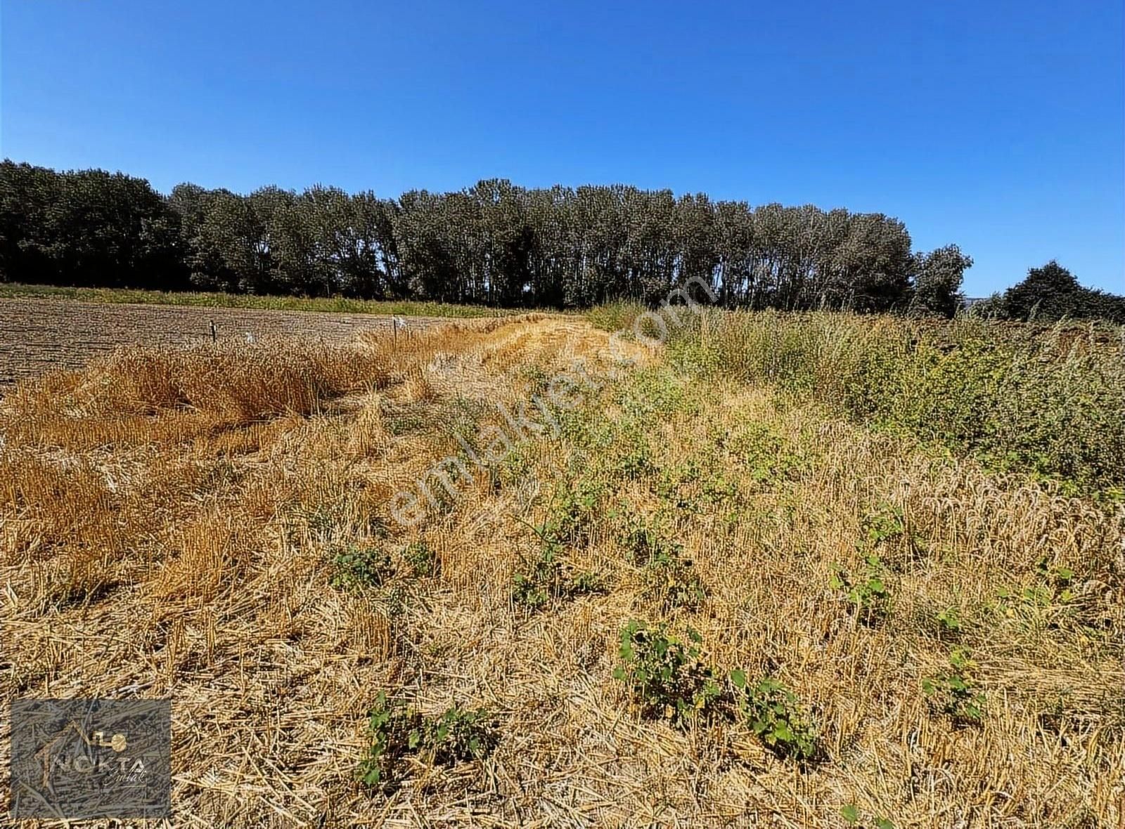Nokta Emlak'tan Araç Takasına Uygun Satılık Tarla - Görsel 15