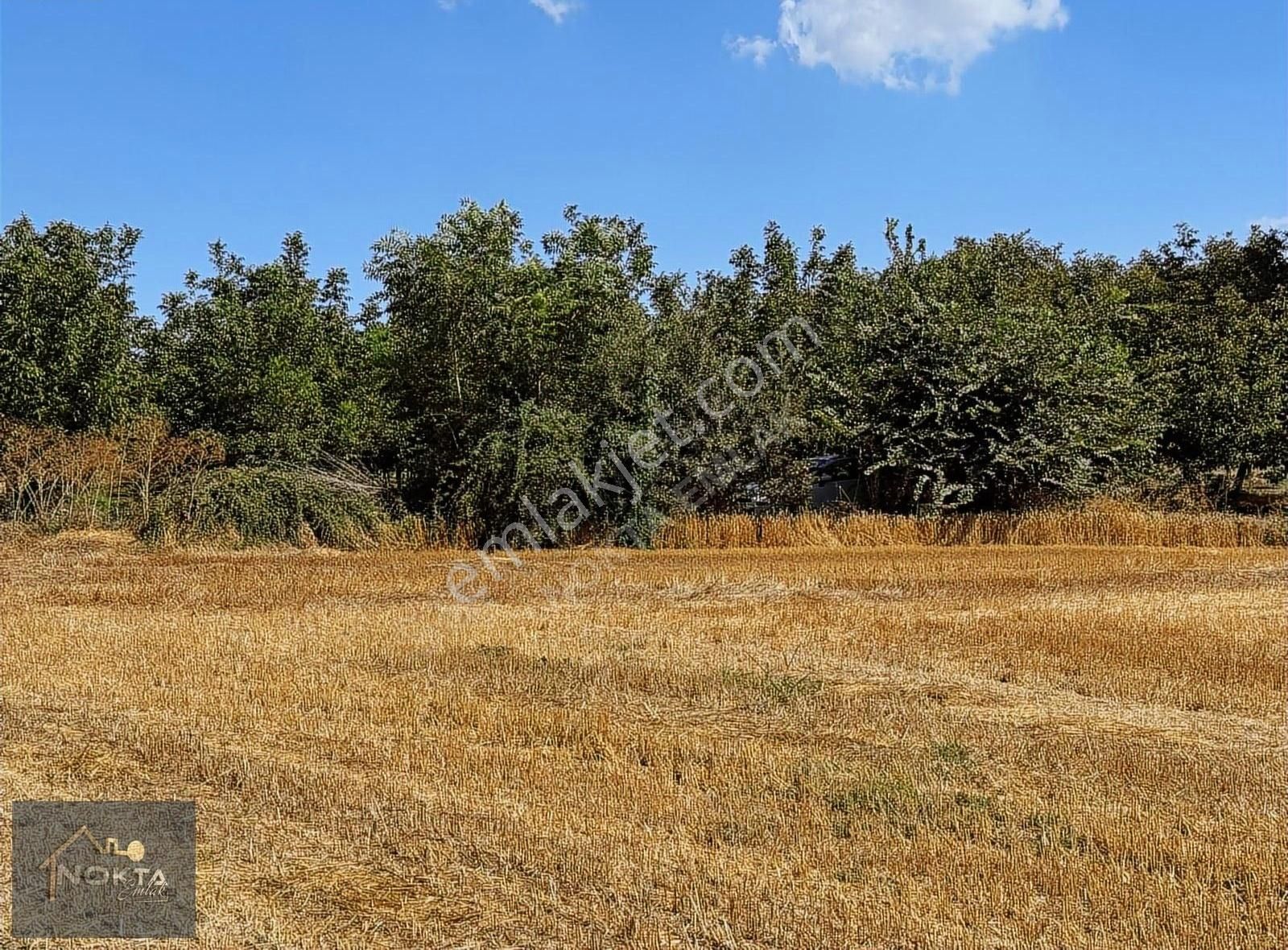 Nokta Emlak'tan Araç Takasına Uygun Satılık Tarla - Görsel 14