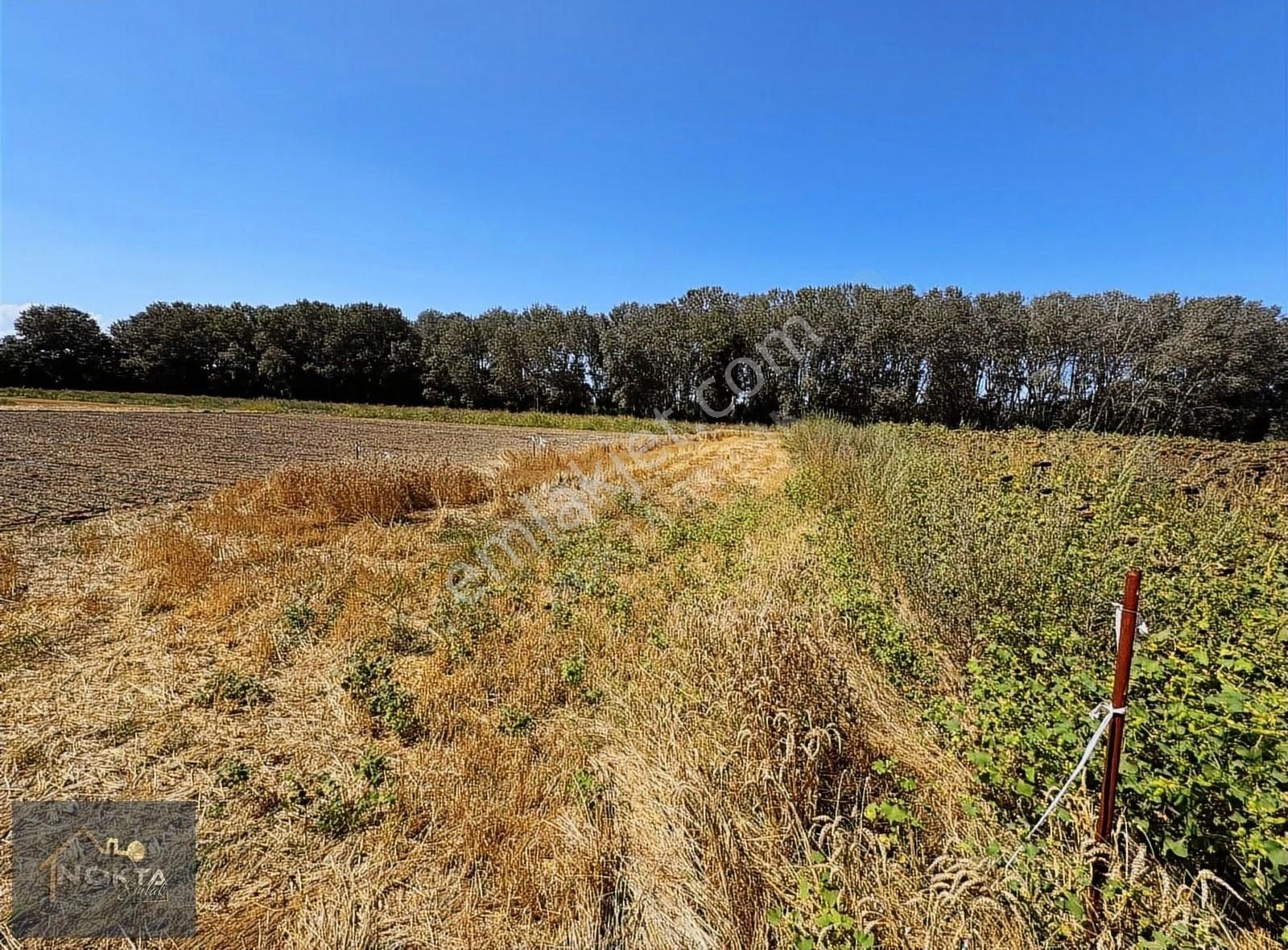 Nokta Emlak'tan Araç Takasına Uygun Satılık Tarla - Görsel 20