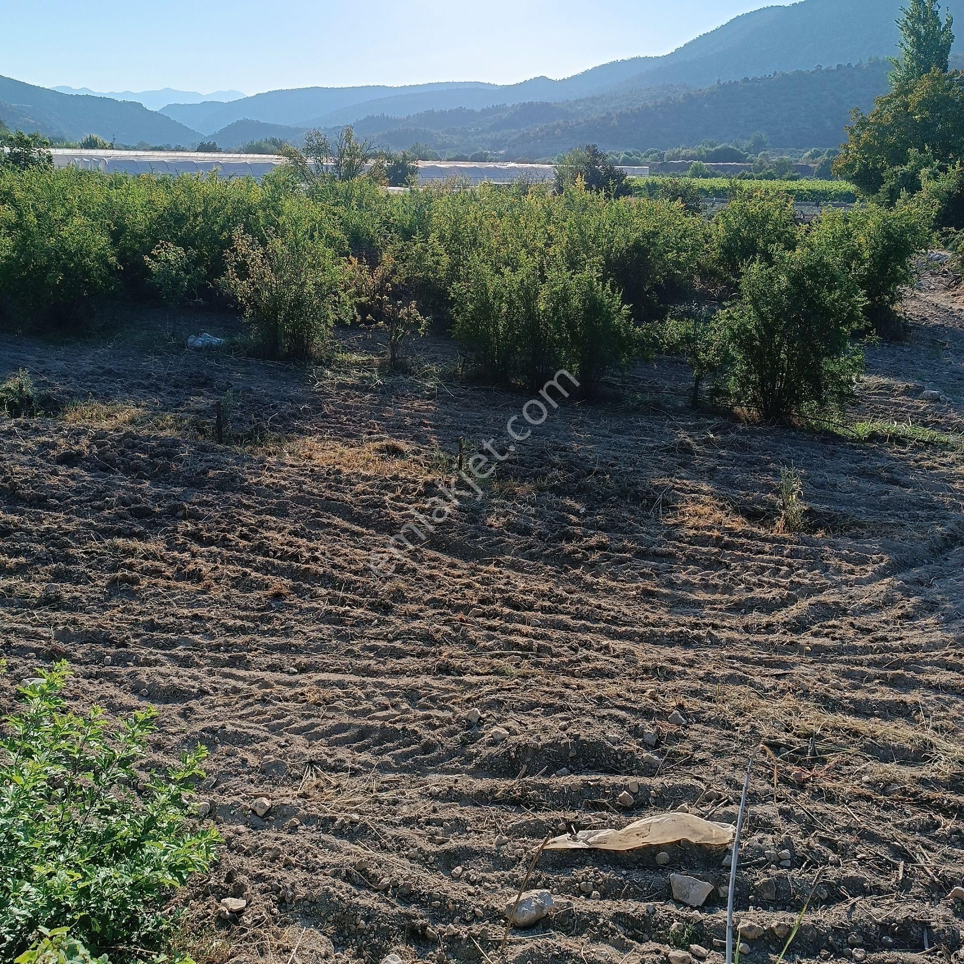 Çok Acil !!!! Denizli Güney Ertuğrul'da Satılık 2626m2 Tarla - Görsel 8