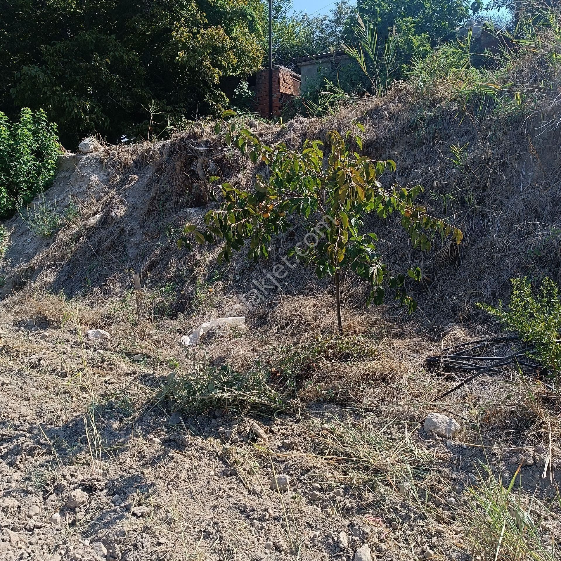 Çok Acil !!!! Denizli Güney Ertuğrul'da Satılık 2626m2 Tarla - Görsel 4