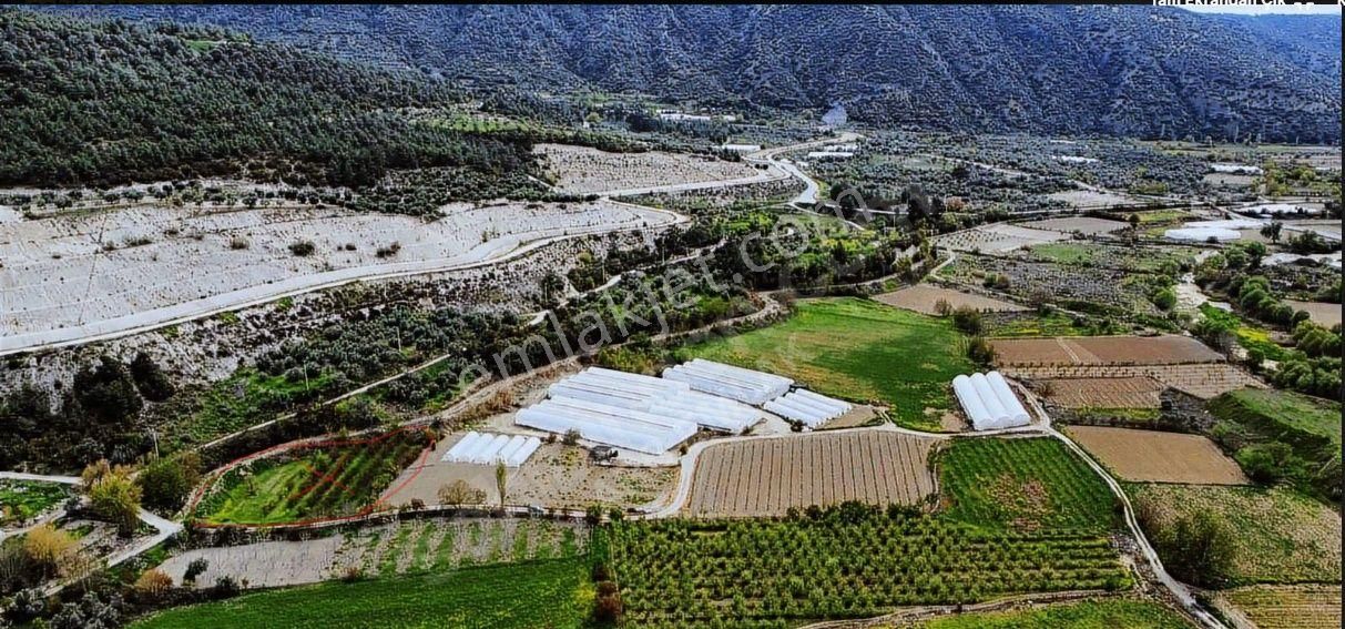 Çok Acil !!!! Denizli Güney Ertuğrul'da Satılık 2626m2 Tarla