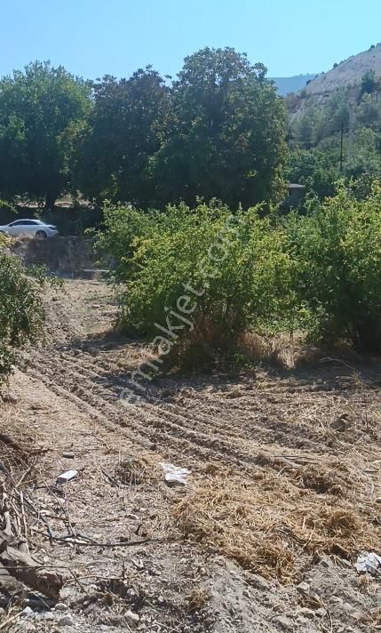 Çok Acil !!!! Denizli Güney Ertuğrul'da Satılık 2626m2 Tarla - Görsel 3