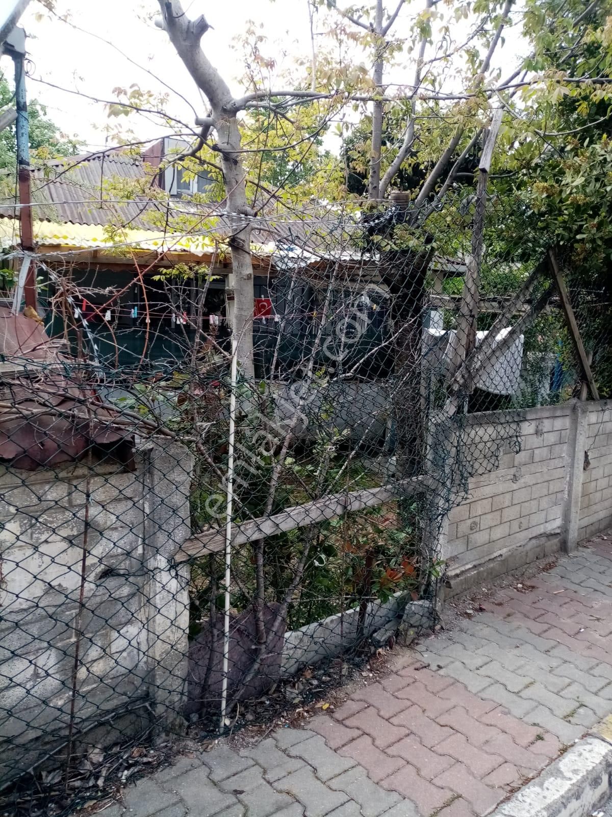 182m2 Arsa İçinde Tek Katlı Müstakil Tadında Bina - Görsel 9