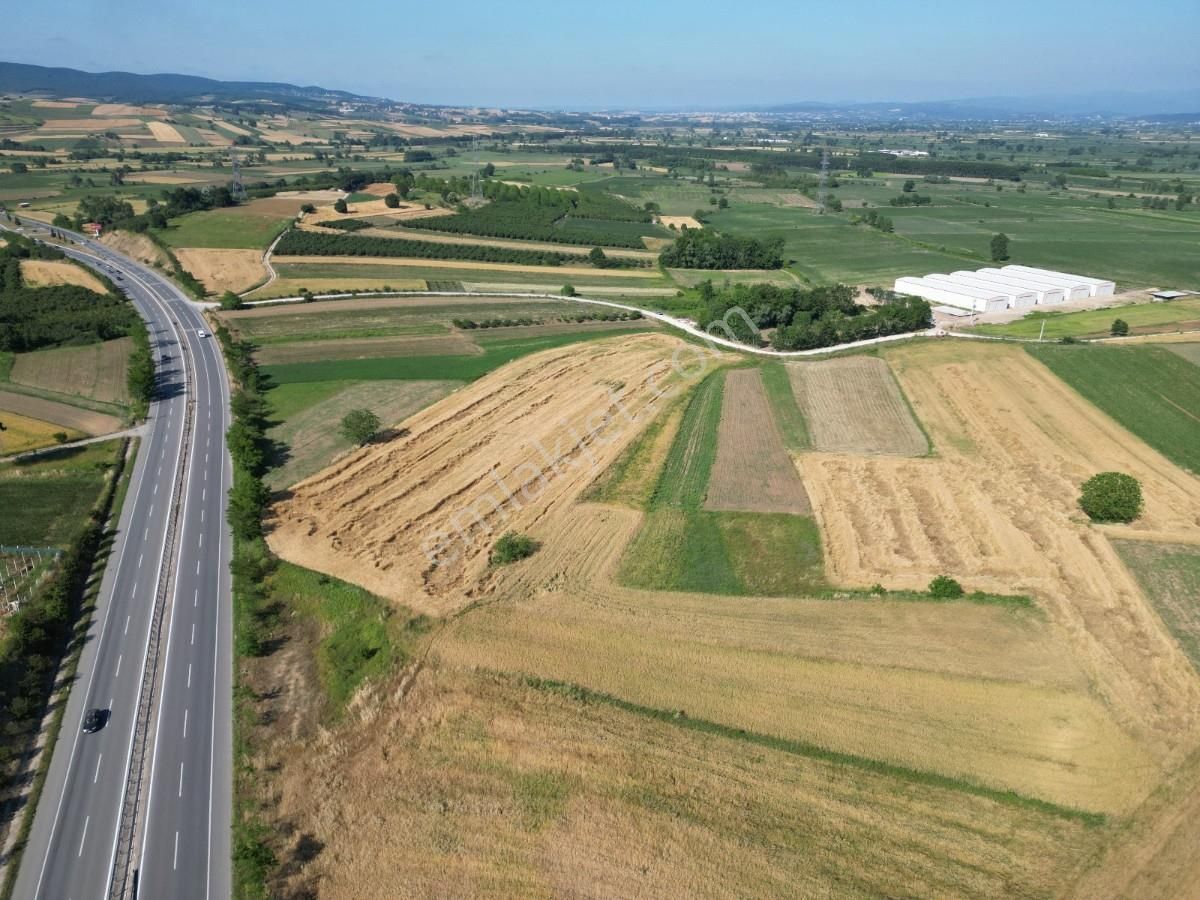 Turyaptan Adapazarı Kayrancıkta Otoyola Yakın Yatırımlık Arazi - Görsel 21