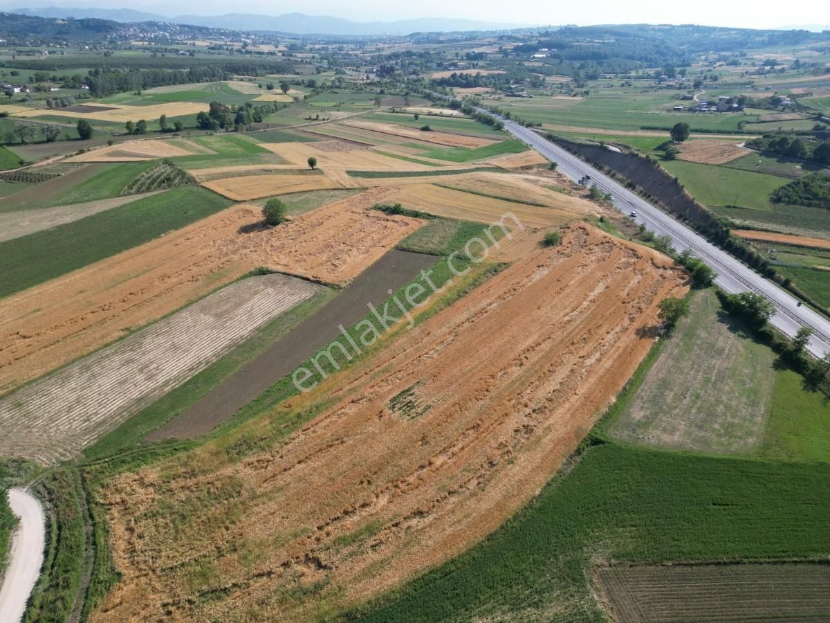 Turyaptan Adapazarı Kayrancıkta Otoyola Yakın Yatırımlık Arazi