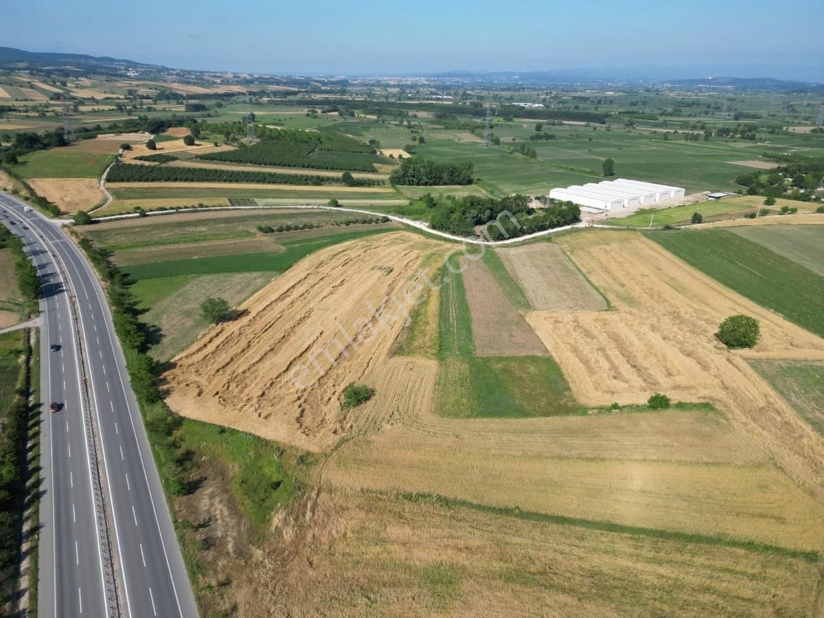 Turyaptan Adapazarı Kayrancıkta Otoyola Yakın Yatırımlık Arazi - Görsel 13