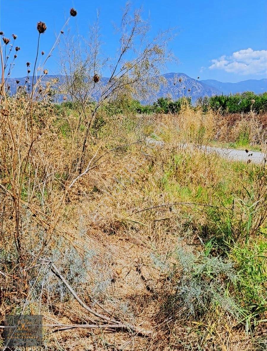 Köyceğiz Toparlar Mah. De Satılık 3433m2 Tarla - Görsel 3