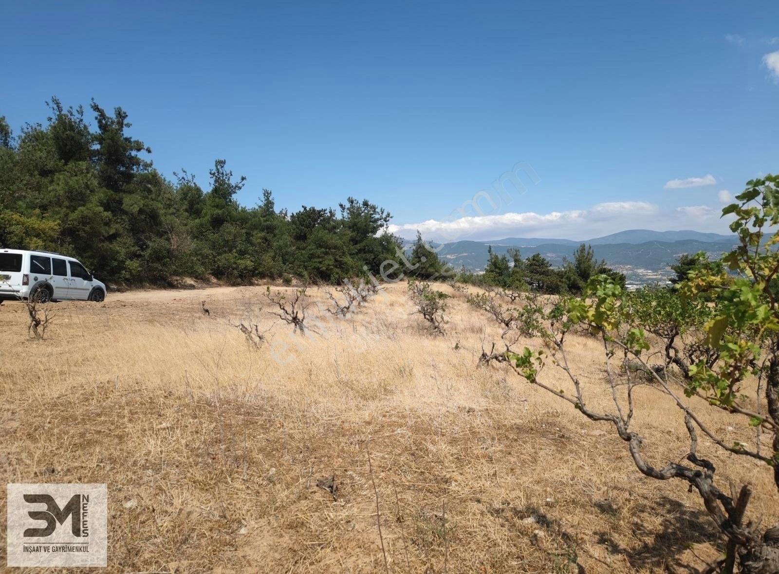 Sakarya Geyve Safibey 5342m2 Manzaralı Uygun Fırsat Üzüm Bağı - Görsel 19