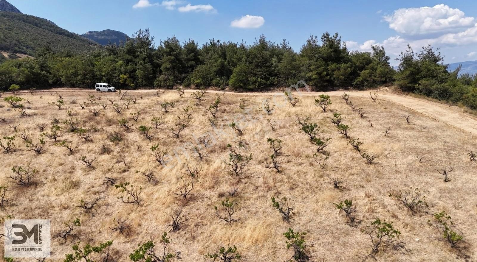 Sakarya Geyve Safibey 5342m2 Manzaralı Uygun Fırsat Üzüm Bağı - Görsel 14