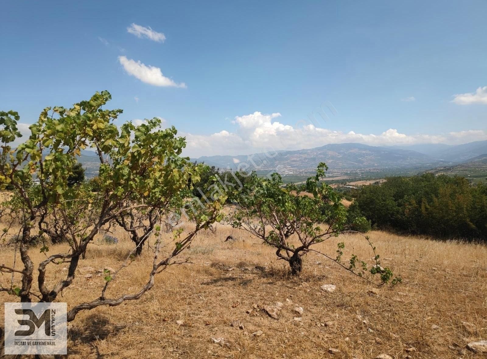 Sakarya Geyve Safibey 5342m2 Manzaralı Uygun Fırsat Üzüm Bağı - Görsel 27