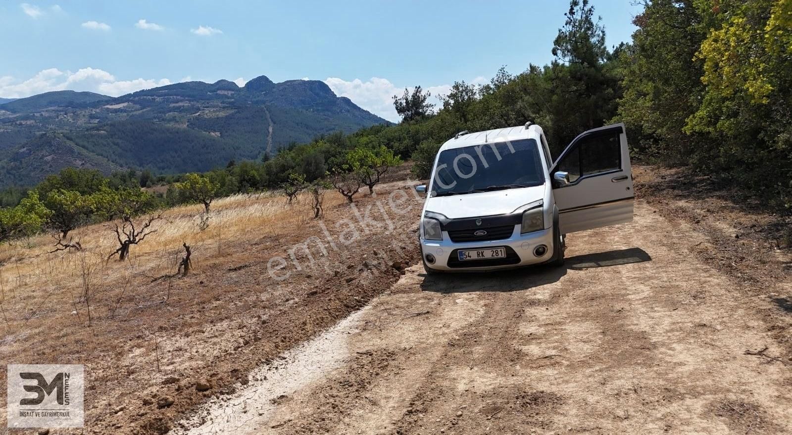 Sakarya Geyve Safibey 5342m2 Manzaralı Uygun Fırsat Üzüm Bağı - Görsel 24