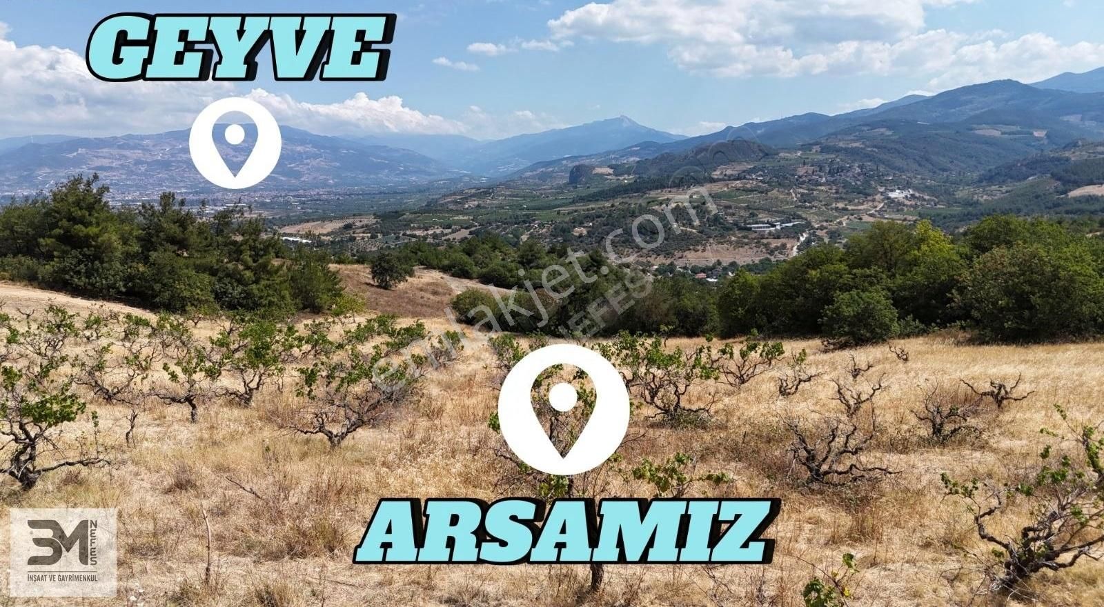 Sakarya Geyve Safibey 5342m2 Manzaralı Uygun Fırsat Üzüm Bağı - Görsel 20