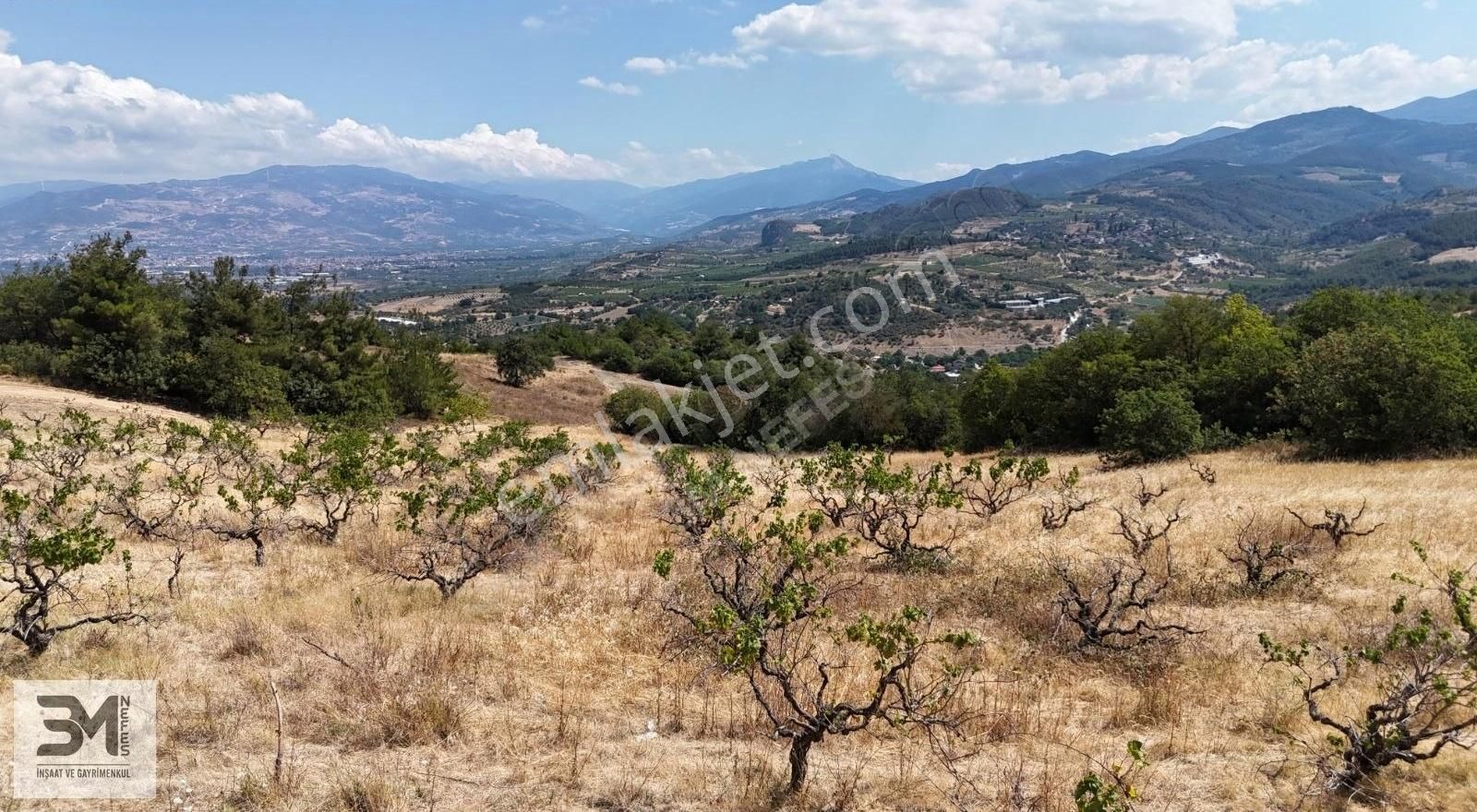 Sakarya Geyve Safibey 5342m2 Manzaralı Uygun Fırsat Üzüm Bağı - Görsel 16