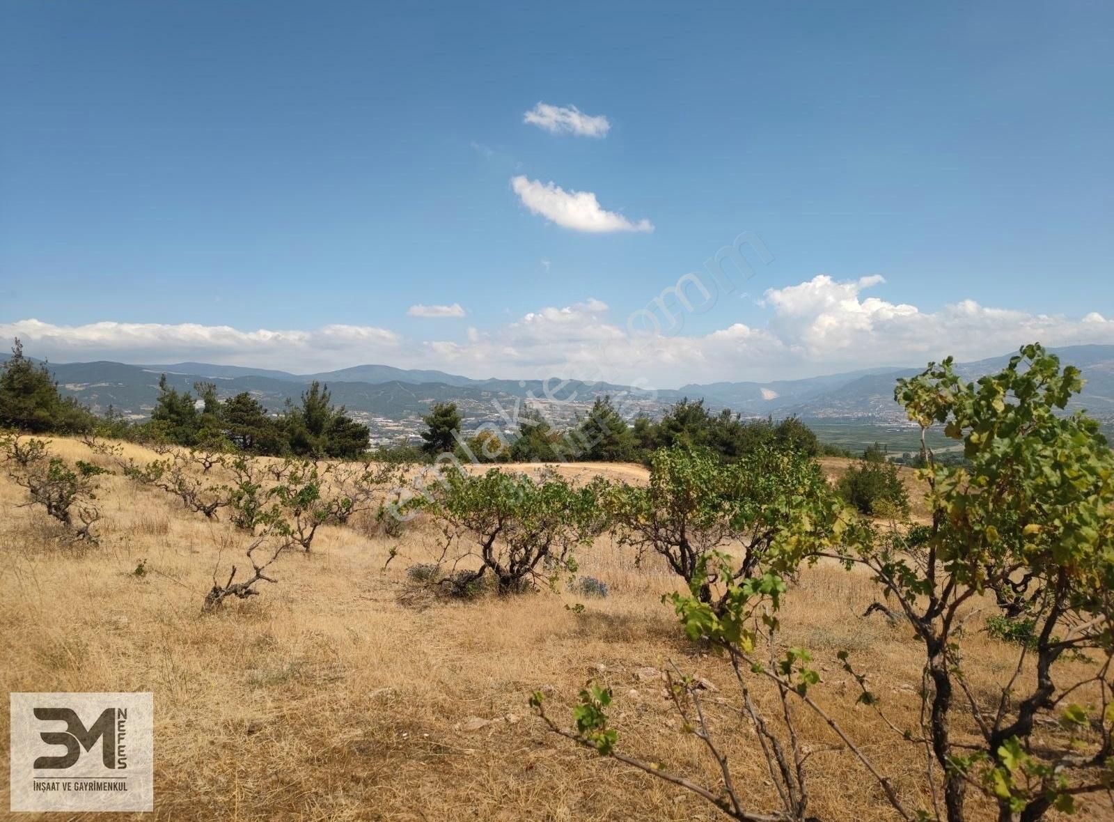 Sakarya Geyve Safibey 5342m2 Manzaralı Uygun Fırsat Üzüm Bağı - Görsel 17