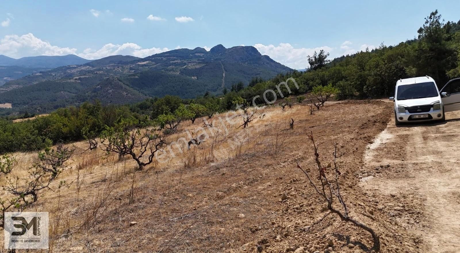 Sakarya Geyve Safibey 5342m2 Manzaralı Uygun Fırsat Üzüm Bağı