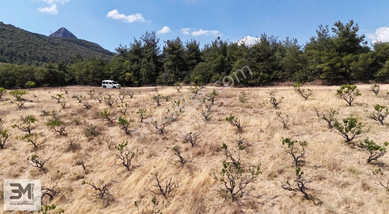 Sakarya Geyve Safibey 5342m2 Manzaralı Uygun Fırsat Üzüm Bağı - Görsel 3