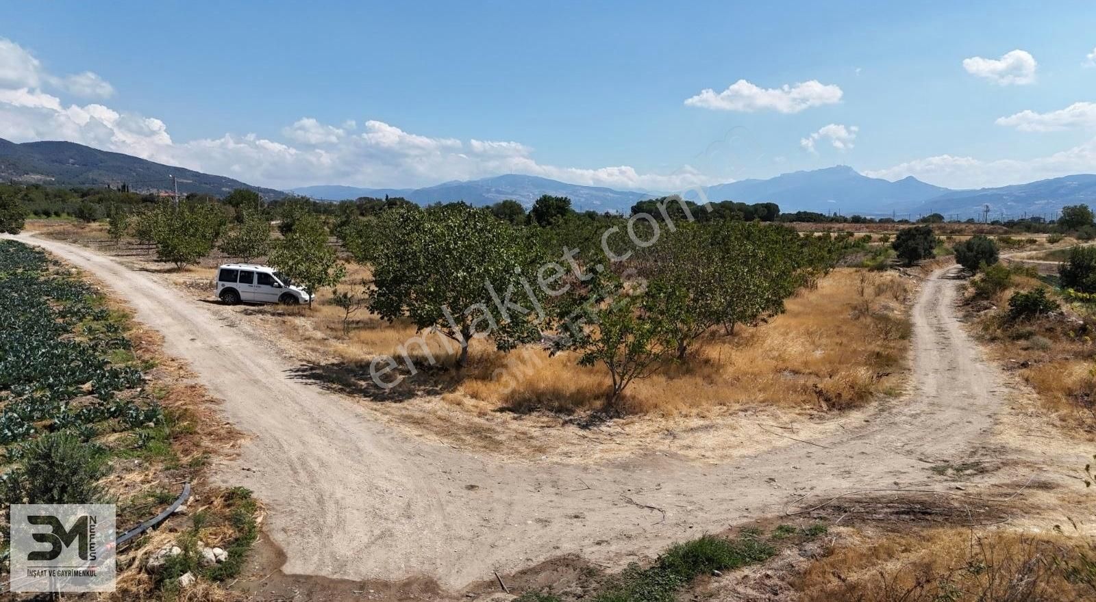 Sakarya Pamukova Turgutlu 2823m2 Karışık Meyve Bahçesi Köşe Arsa - Görsel 2