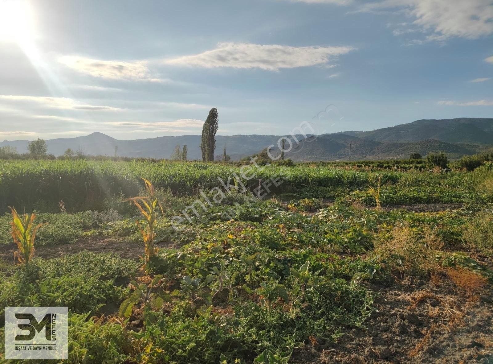 Sakarya Pamukova Karapınar 674 M2 Arsa Uygun Fiyat Hobi Bahçesi - Görsel 17