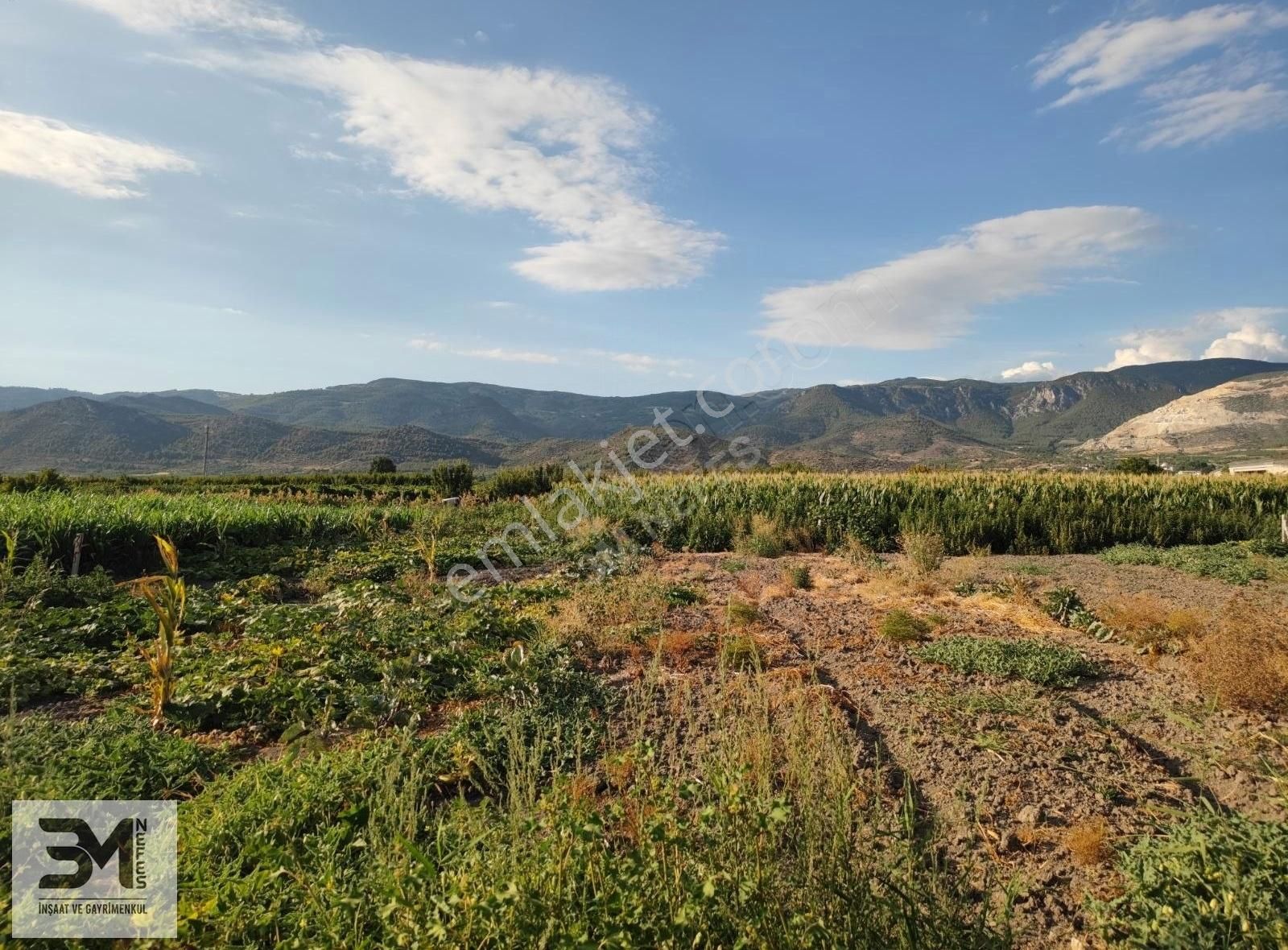 Sakarya Pamukova Karapınar 674 M2 Arsa Uygun Fiyat Hobi Bahçesi - Görsel 28