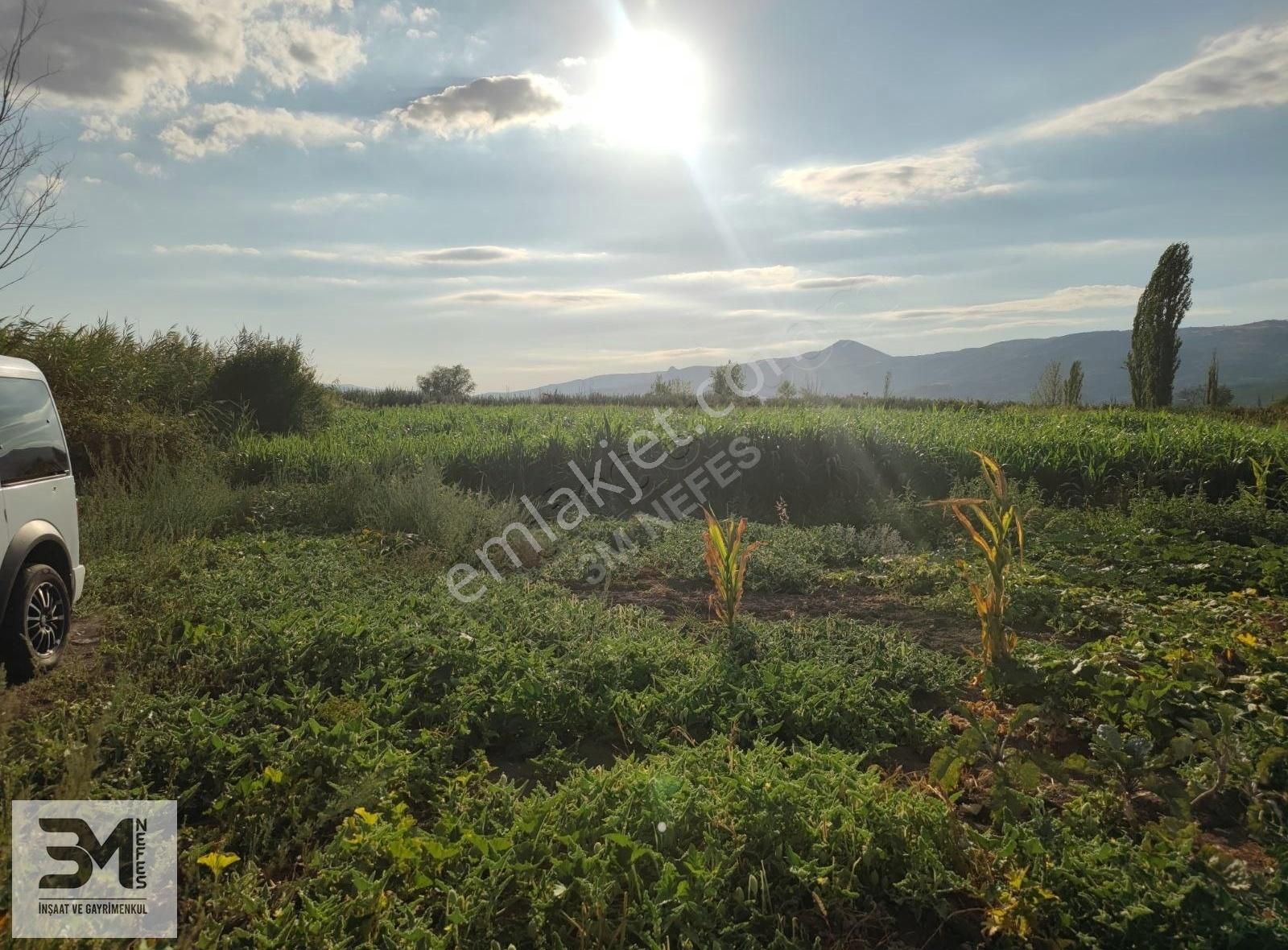 Sakarya Pamukova Karapınar 674 M2 Arsa Uygun Fiyat Hobi Bahçesi - Görsel 35