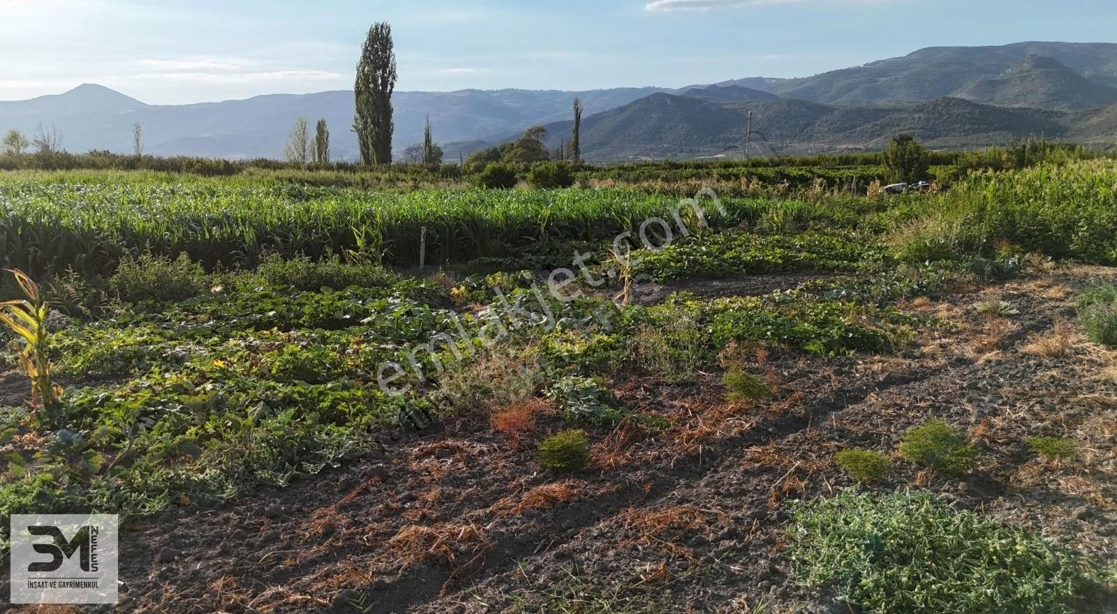 Sakarya Pamukova Karapınar 674 M2 Arsa Uygun Fiyat Hobi Bahçesi - Görsel 14